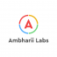 Ambharii Labs logo